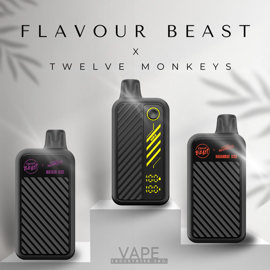 Flavour Beast X Twelve Moneys - Beast Mode Max 2 AB